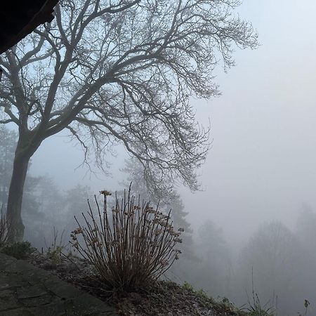 Le Paradis De Lucile, Vue De Reve, Giverny 10 Minutes Villa La Roche-Guyon Buitenkant foto