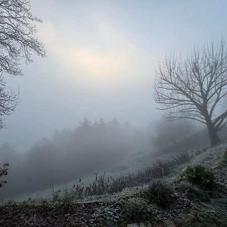 Le Paradis De Lucile, Vue De Reve, Giverny 10 Minutes Villa La Roche-Guyon Buitenkant foto