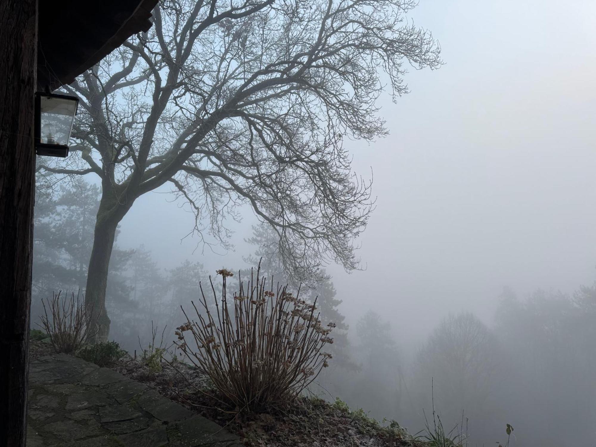 Le Paradis De Lucile, Vue De Reve, Giverny 10 Minutes Villa La Roche-Guyon Buitenkant foto