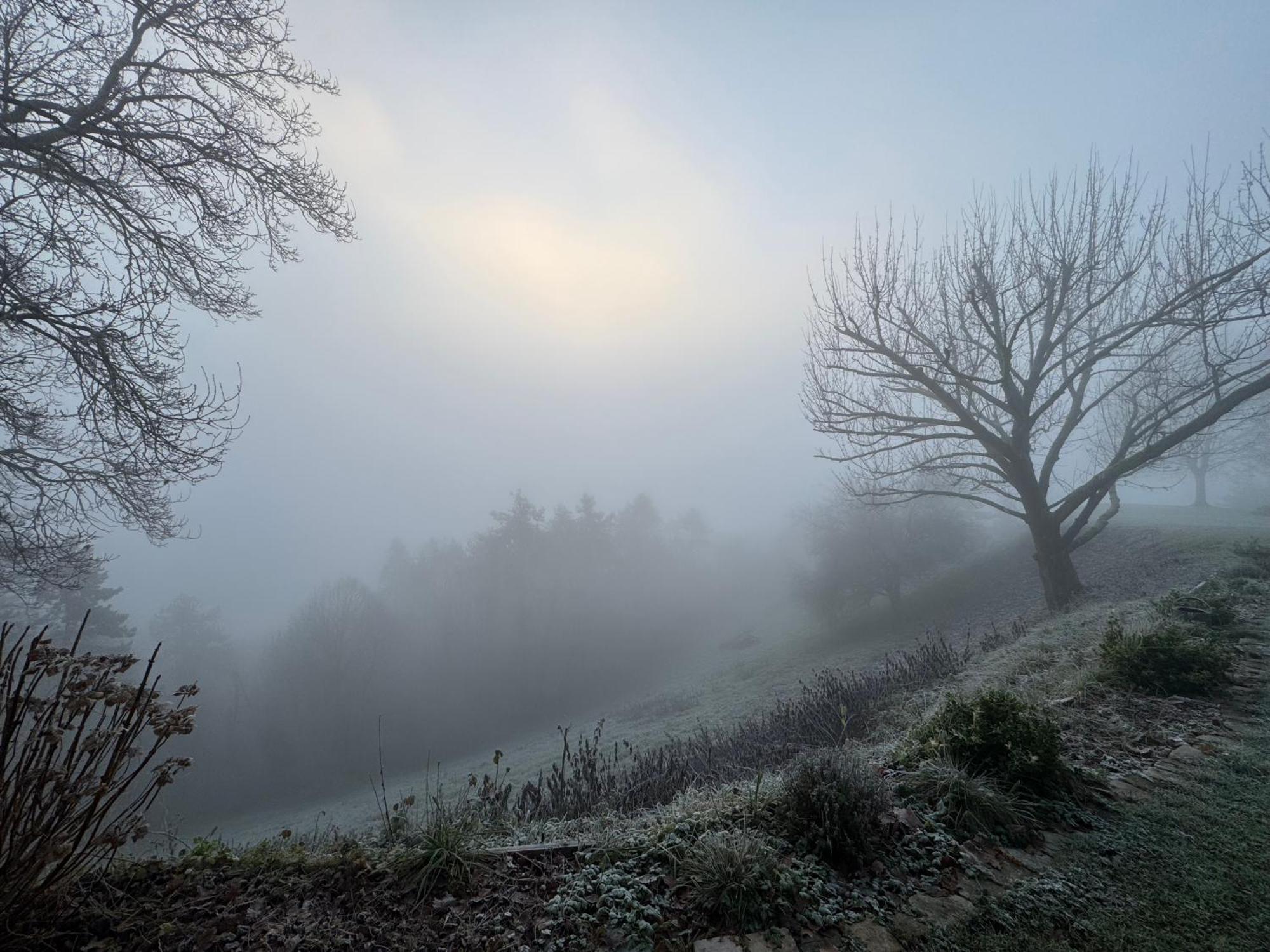 Le Paradis De Lucile, Vue De Reve, Giverny 10 Minutes Villa La Roche-Guyon Buitenkant foto