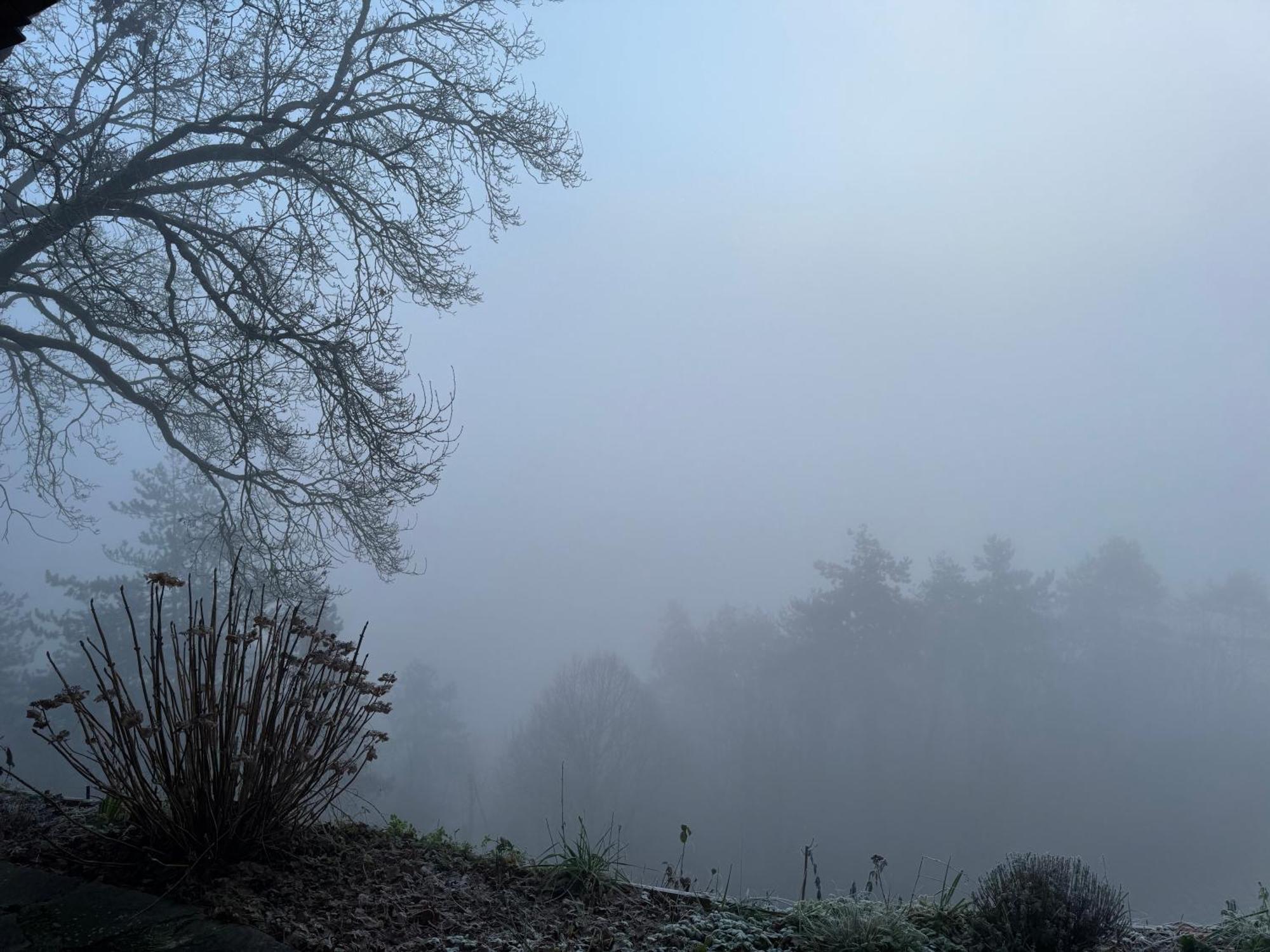 Le Paradis De Lucile, Vue De Reve, Giverny 10 Minutes Villa La Roche-Guyon Buitenkant foto